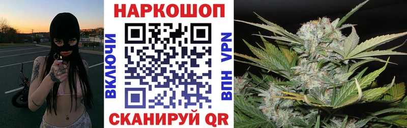 Магазины продажи наркотиков Зима A PVP Каннабис