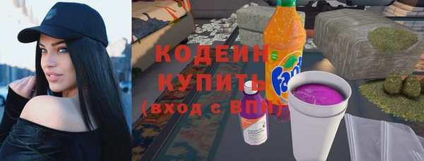 дурь Арсеньев
