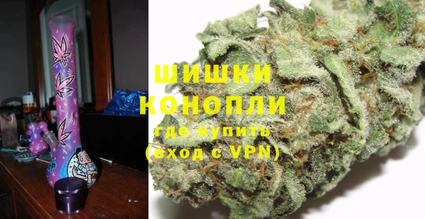 дурь Арсеньев