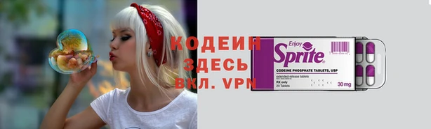 дурь Арсеньев