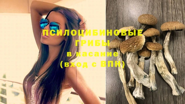 дурь Арсеньев
