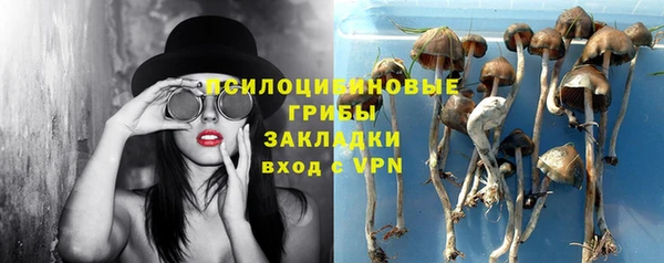 дурь Арсеньев