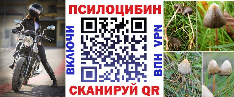 Галлюциногенные грибы мицелий  цены   гидра зеркало  Зима 